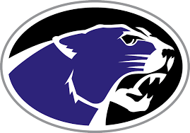 Breese Central logo